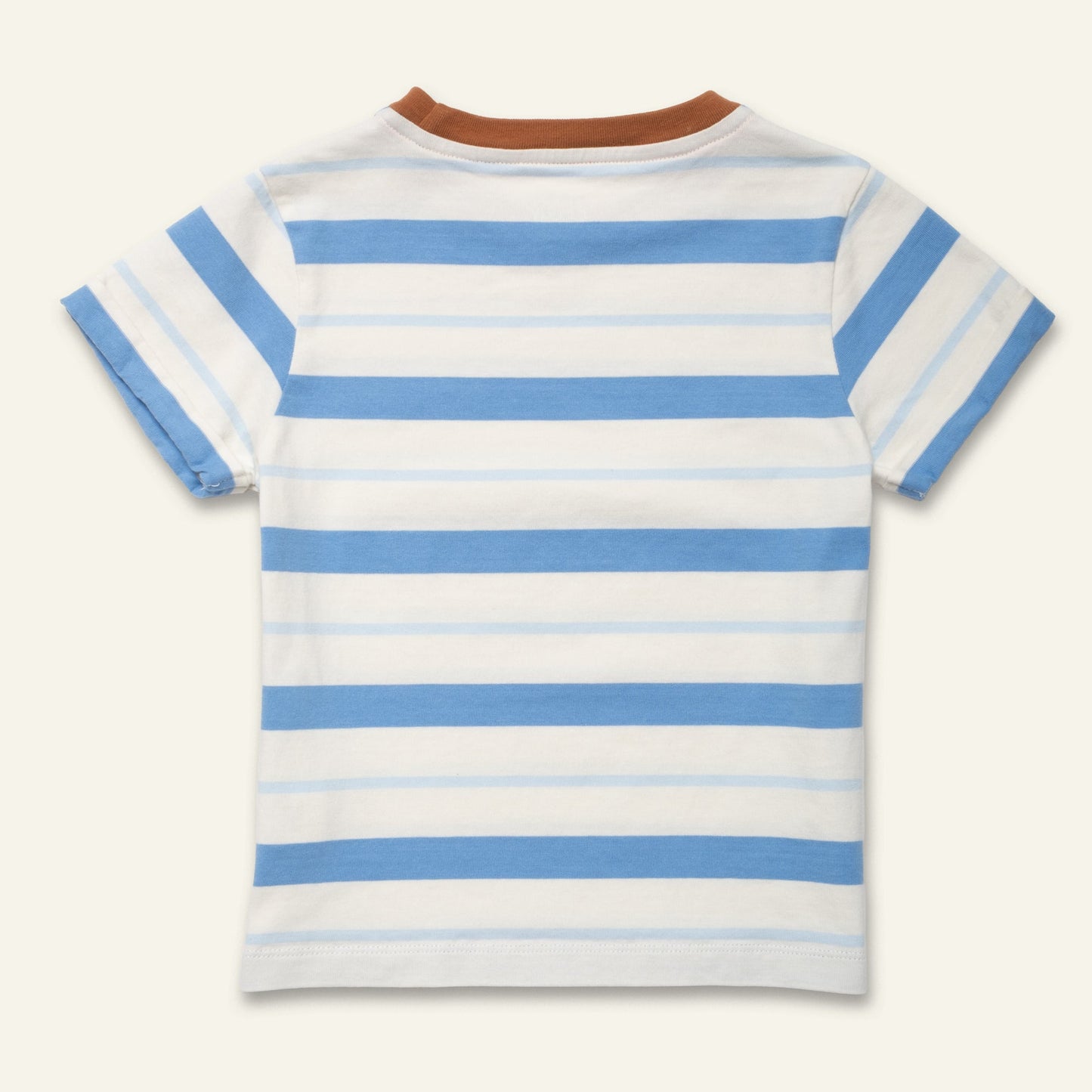 Organic Cotton T-Shirt - Blue Stripe