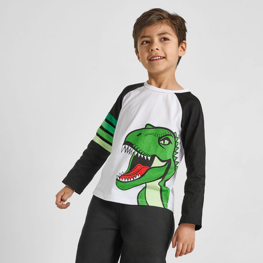 Dinosaur Baseball Tee - Organic Cotton & Recycled Polyester | Rebloomed Kids