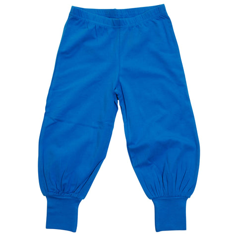 Blue aster baggy pants- More than a Fling