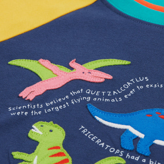 Frugi organic Raglan top- dinosaur appliqué, closeup