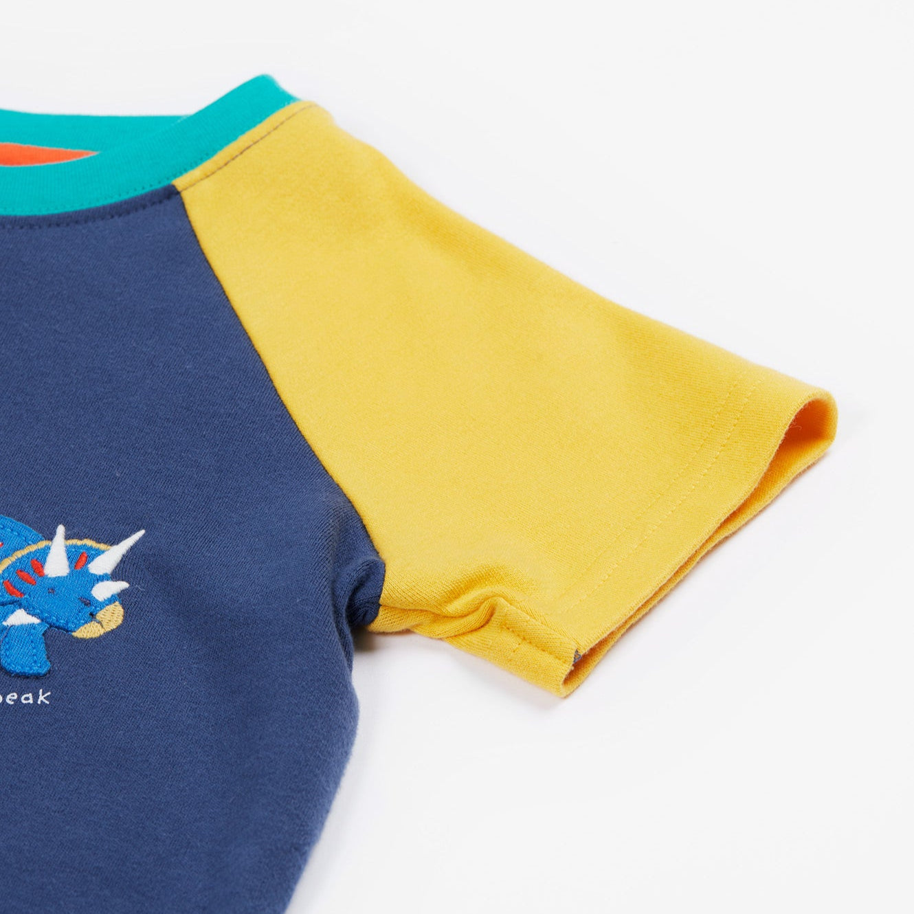 Frugi organic Raglan top- dinosaur appliqué, closeup