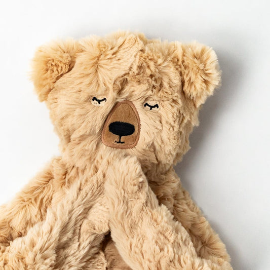 Honey Bear Snuggler Lovey & Gratitude Books Set