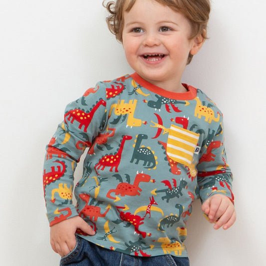 Kite Clothing Organic Boys' Long Sleeved T-Shirt- Dinosaurs & Dragons
