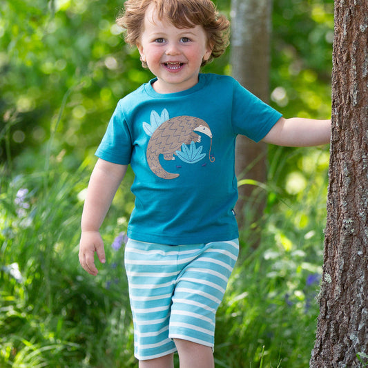 Child wearing a blue t-shirt with a pangolin design and striped shorts, standing in a grassy area.
