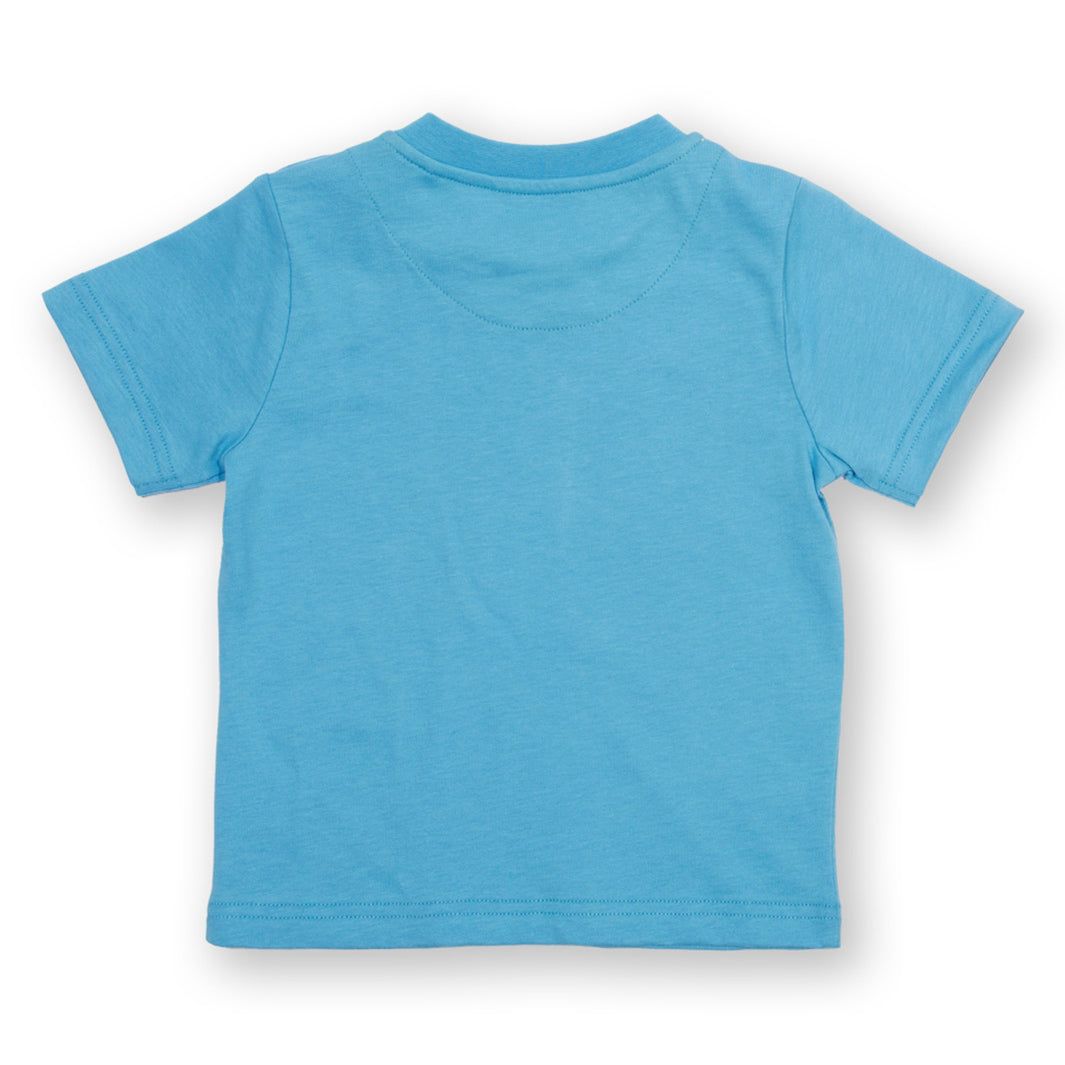 Kite organic T-shirt- seagulls, back