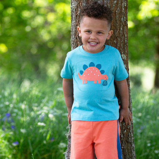 Child wearing a blue t-shirt with a dinosaur design and orange shorts standing next to a tree in a grassy area.