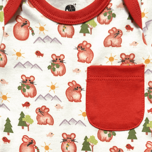 Kolorful Organic Pima Cotton Babies' Bodysuit and Shorts Set- Pika