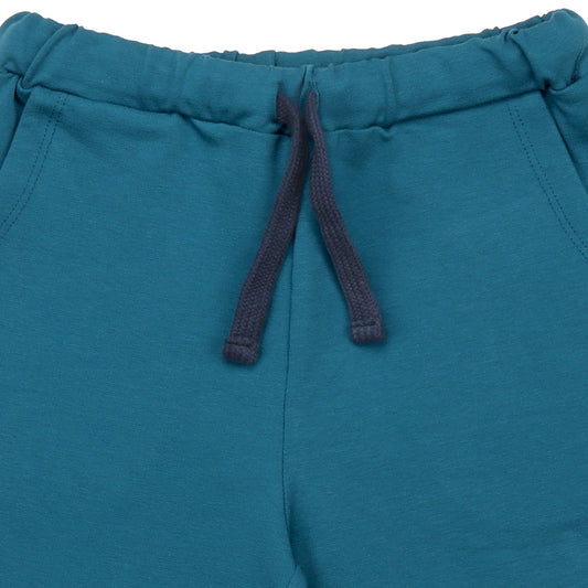 Shorts- blue coral, closeup