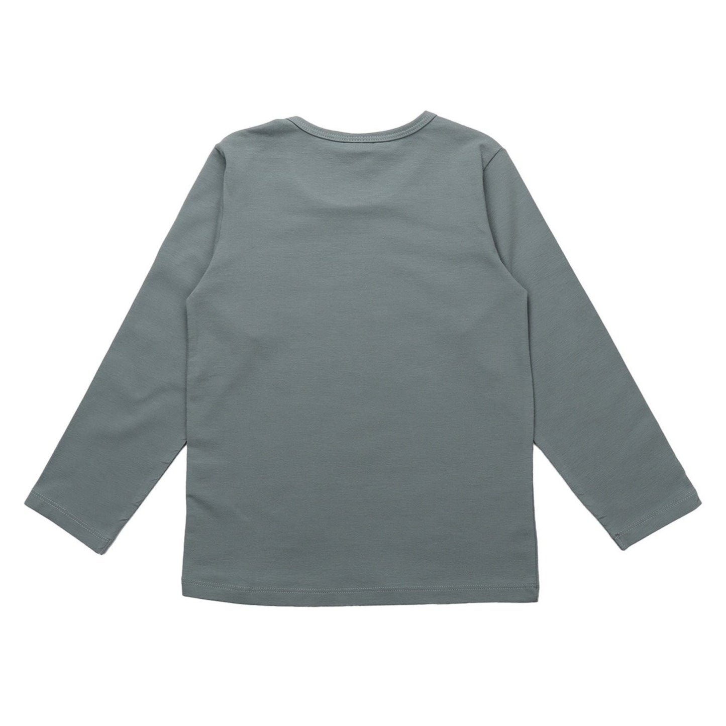 Walkiddy organic Long sleeve shirt- whales, back
