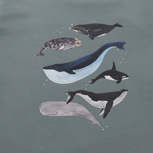 Walkiddy organic Long sleeve shirt- whales, closeup