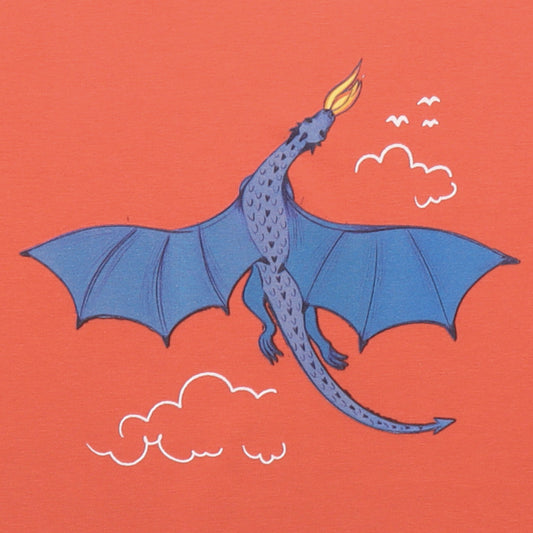 Walkiddy organic Short sleeve shirt- colorful dragon, closeup