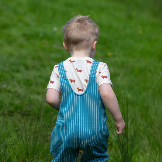 Little Green Radicals Organic Short sleeved t-shirt- dachshund