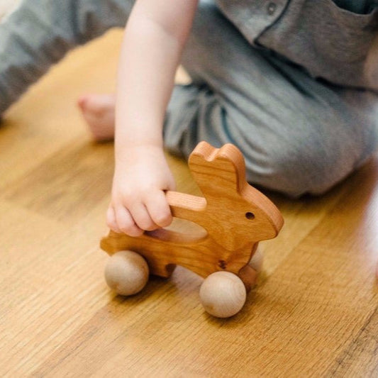 Bannor Toys Bunny Push Toy