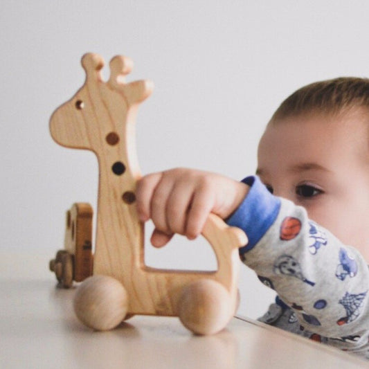 Bannor Toys Giraffe Push Toy