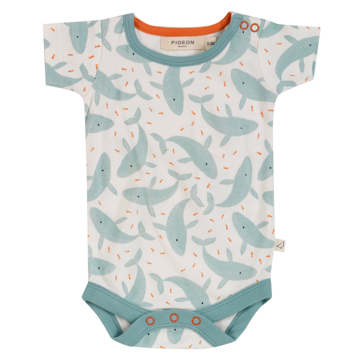 Pigeon Organics Short sleeve bodysuit- turquoise whales