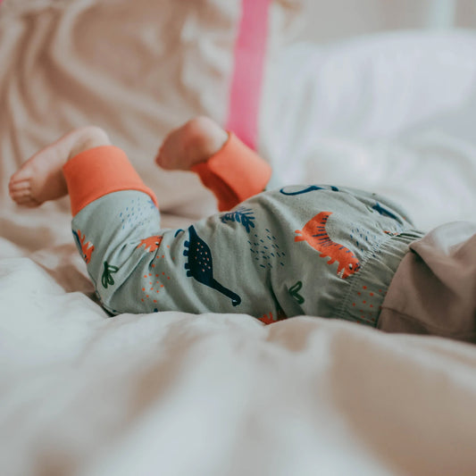 Baby wearing Lilly + Sid organic 2-pack dinosaur/stripe pants