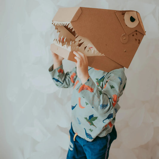 Boy wearing Lilly + Sid 2 pack organic tops- dino stripe pocket/blue