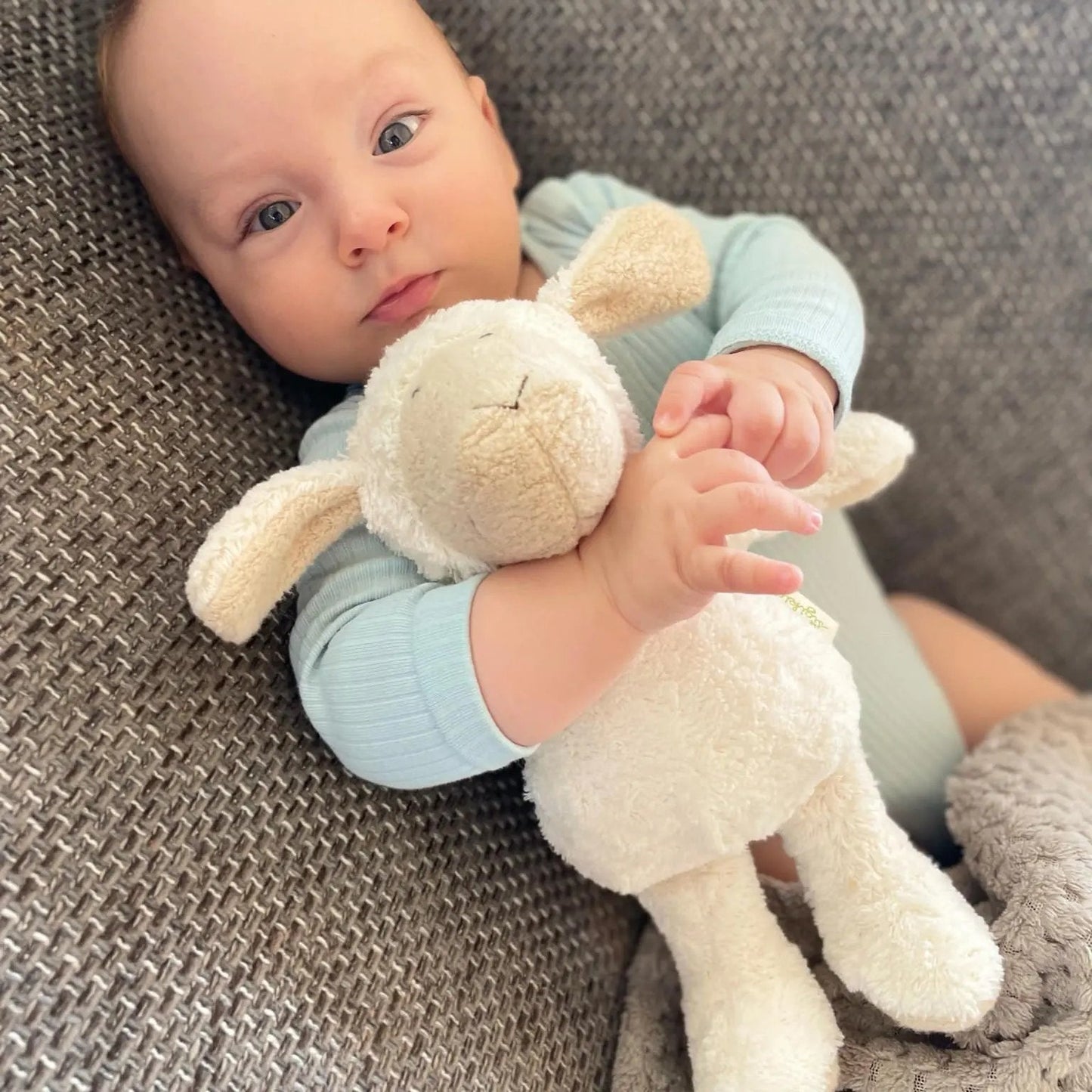 Organic Cotton Sheep Plush Toy - Natural Baby Gift | sigikid 
