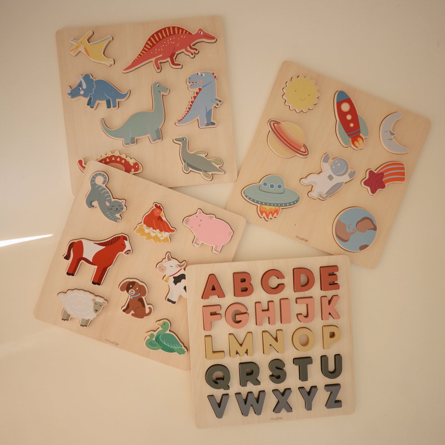 Wooden Puzzle- Various Shapes