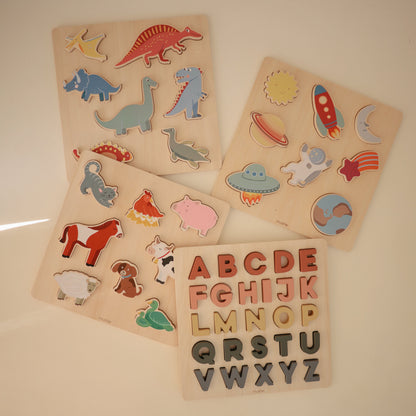 Wooden Puzzle- Various Shapes