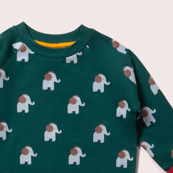 Little Green Radicals organic Raglan sweatshirt- elephants, closeup