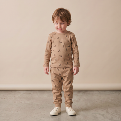 Organic Cotton Tee & Pants Set - Woodland Fox