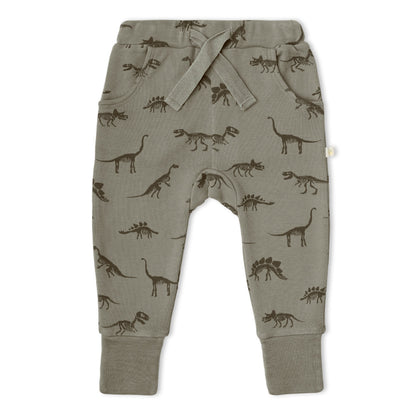 Organic Cotton Kimono Onesie & Pants Set - Dino