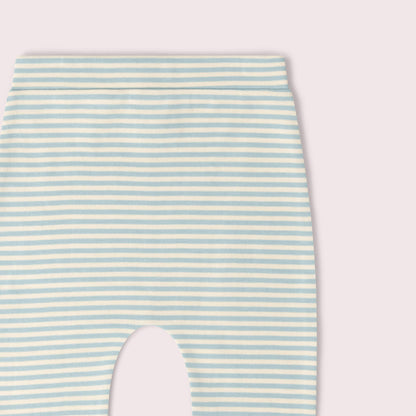 Little Green Radicals Organic Cotton T-Shirt & Jogger Playset - Blue Bears