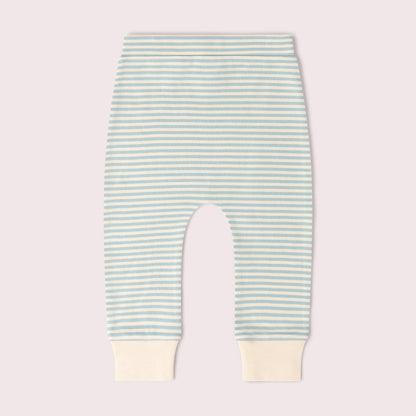 Little Green Radicals Organic Cotton T-Shirt & Jogger Playset - Blue Bears