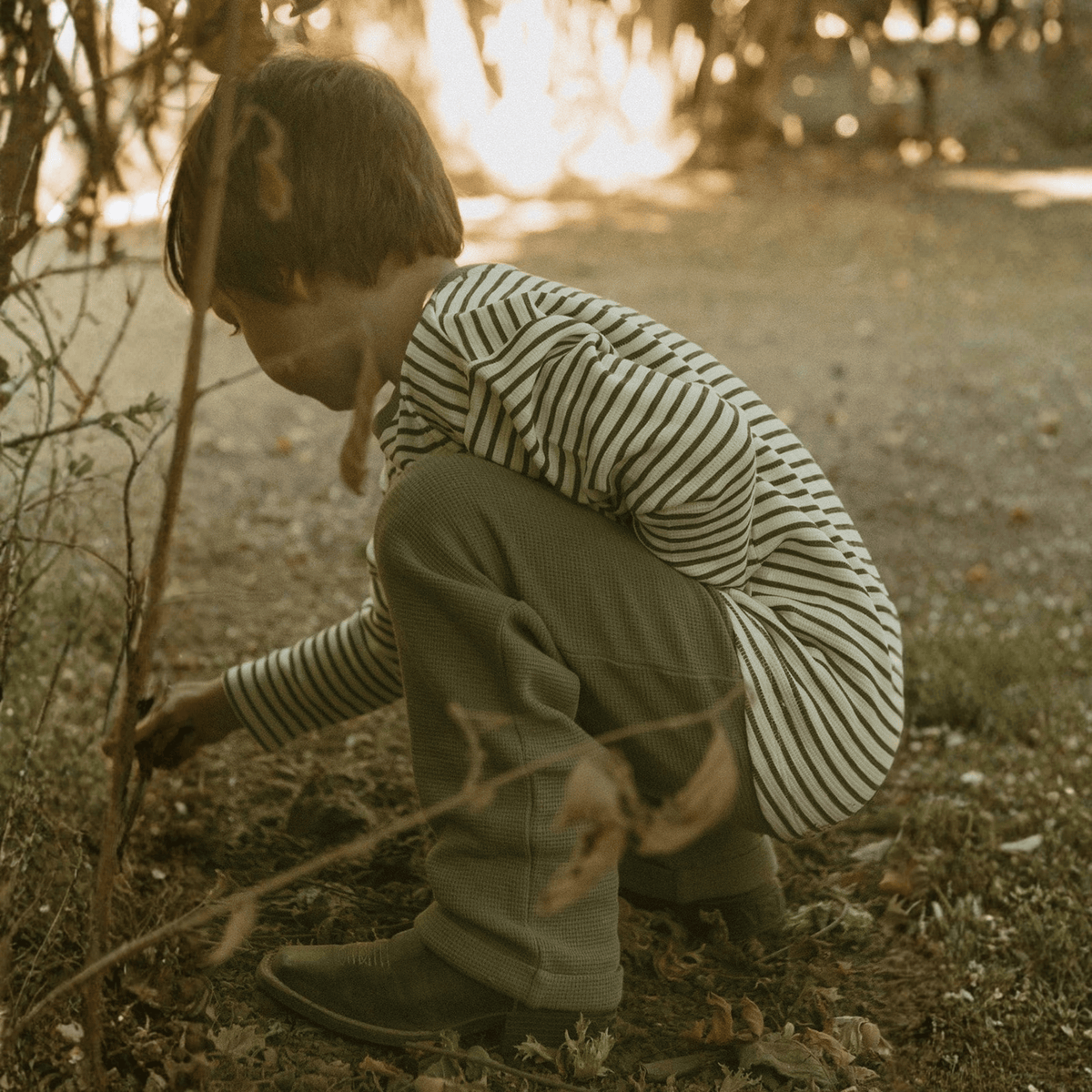 Organic Cotton Tee & Cuffed Pants Set - Olive Stripes