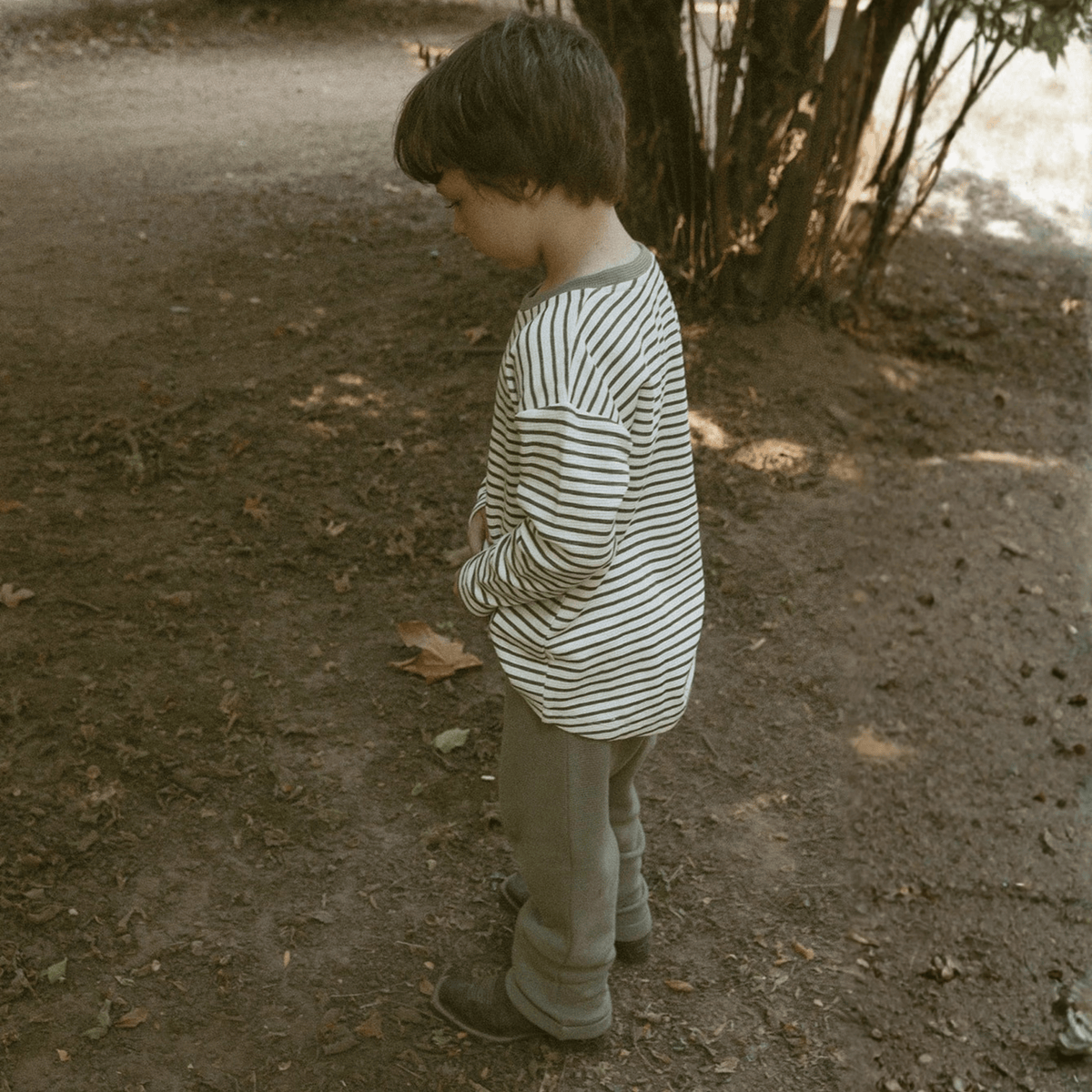 Organic Cotton Tee & Cuffed Pants Set - Olive Stripes