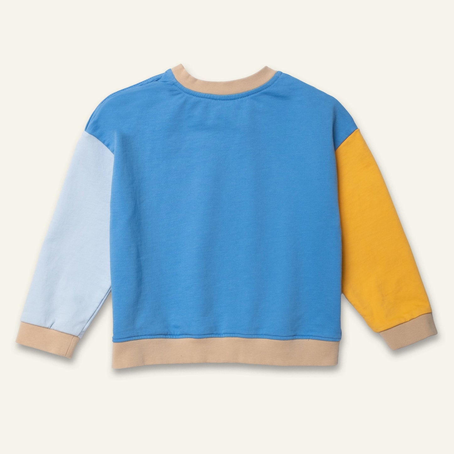 Organic Cotton Sweatshirt - Blue Colorblock