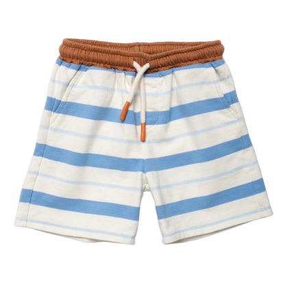 Blue and white striped shorts with a brown drawstring on a light gray background