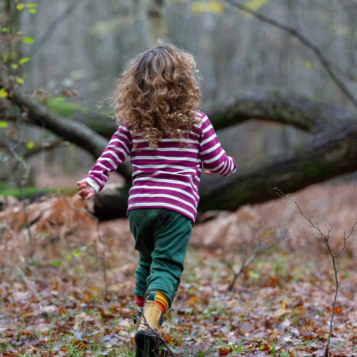 Little Green Radicals Organic Cotton Long Sleeve T-Shirt - Berry Striped
