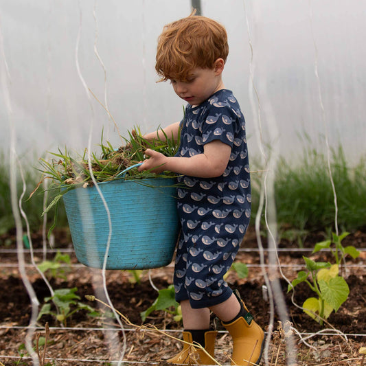 Organic Cotton Short Romper - Whales | Little Green Radicals