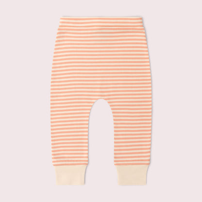 Little Green Radicals Organic Cotton T-Shirt & Jogger Playset - Pink, Petals