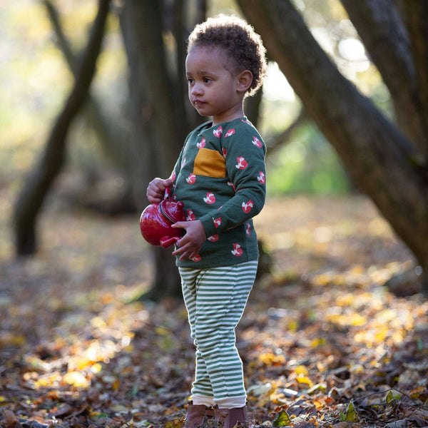 Boy wearing Little Green Radicals organic T-shirt & jogger playset- little fox