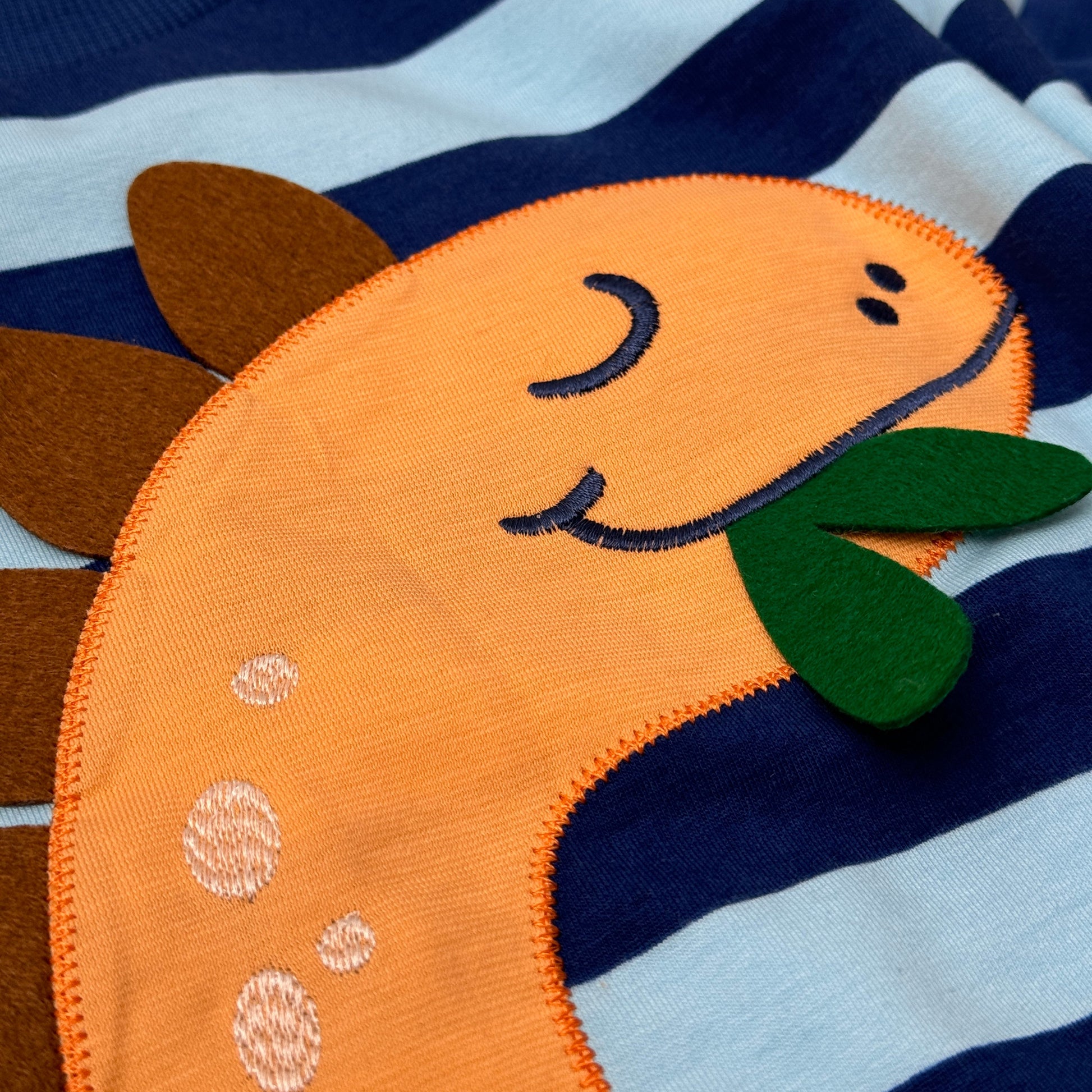 Fred's World Organic Boys' Sweatshirt- Dinosaur Appliqué/Stripe