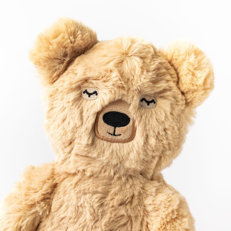 Honey Bear Plush Toy & Gratitude Books Set