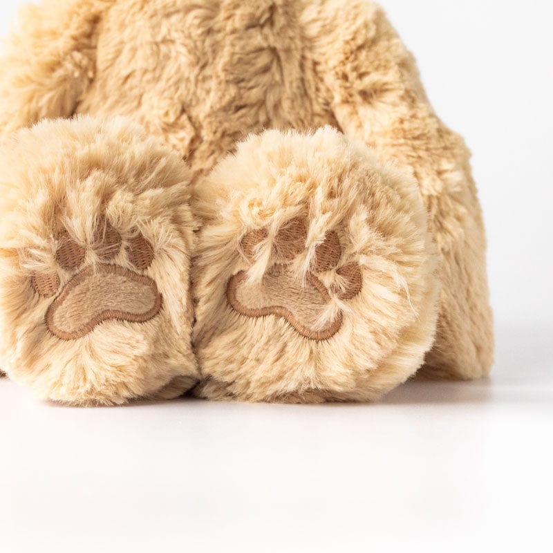 Honey Bear Plush Toy & Gratitude Books Set