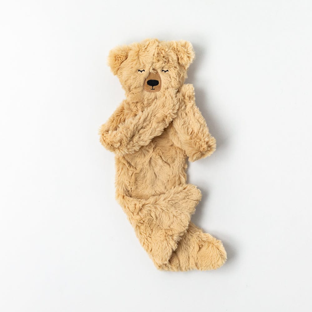Honey Bear Snuggler Lovey & Gratitude Books Set