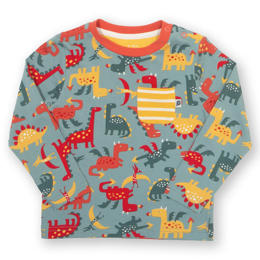 Kite Clothing Organic Boys' Long Sleeved T-Shirt- Dinosaurs & Dragons
