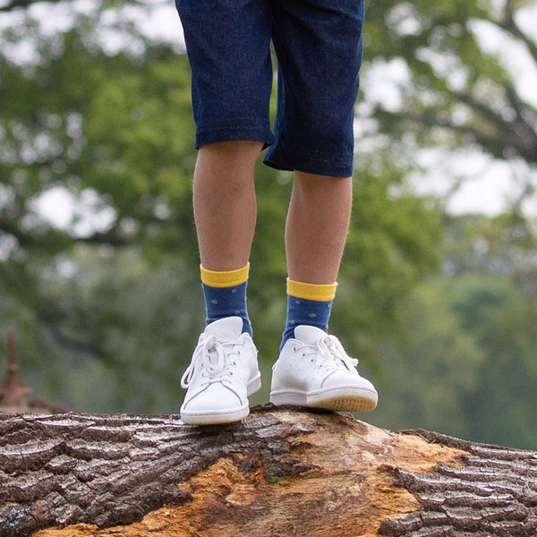 Child wearing Kite organic Dinosaur socks