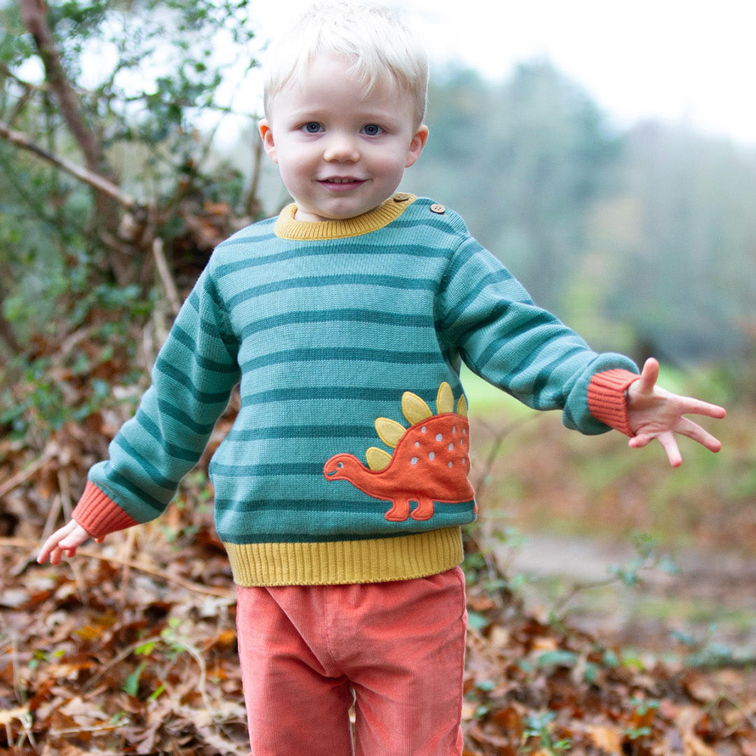 Kite Clothing Organic Boys' Sweater- Dinosaur Appliqué
