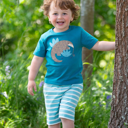 Child wearing a blue t-shirt with a pangolin design and striped shorts, standing in a grassy area.