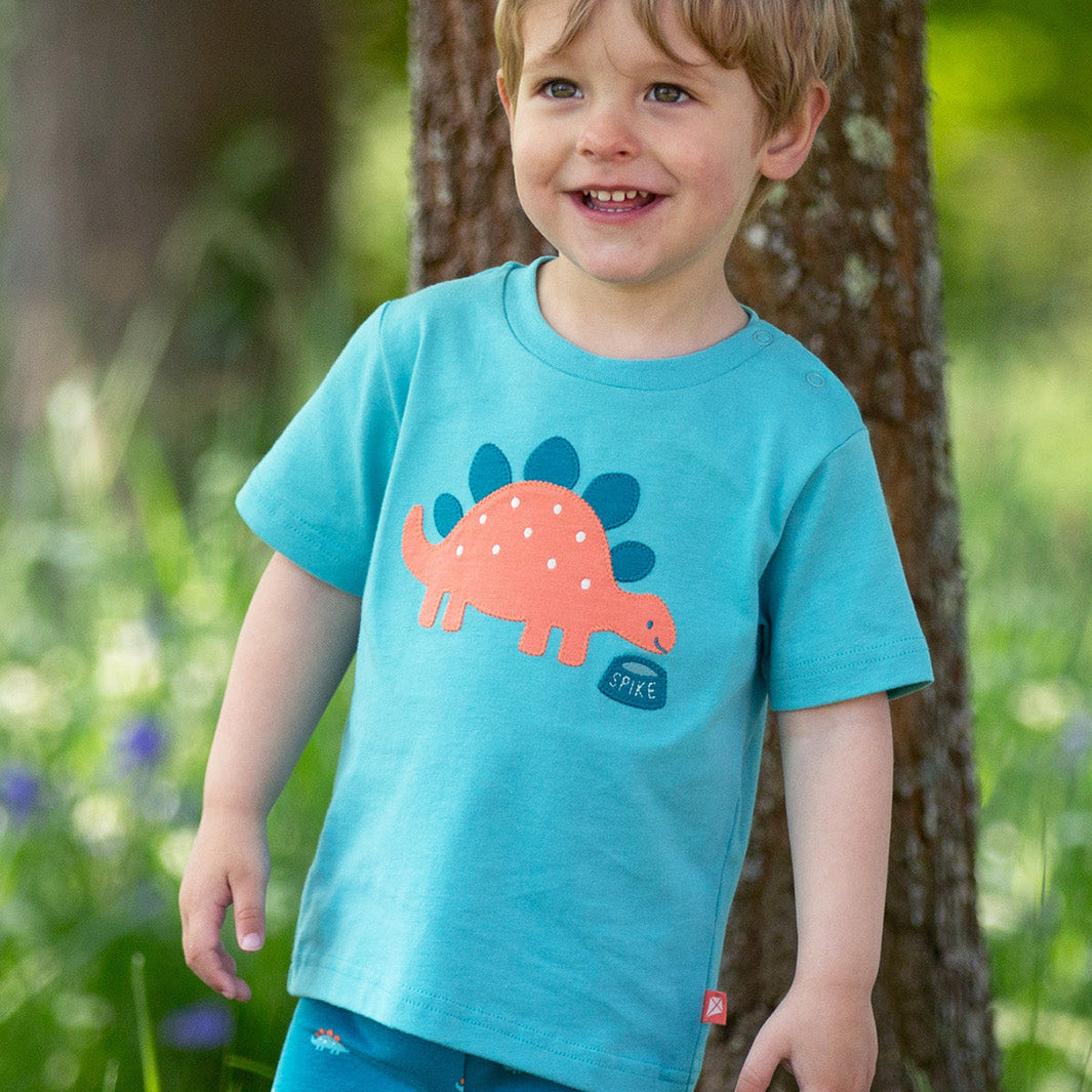 Child wearing a blue t-shirt with a dinosaur design outdoors