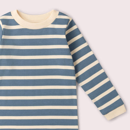 Little Green Radicals Organic Cotton Long Sleeve T-Shirt - Blue, Striped