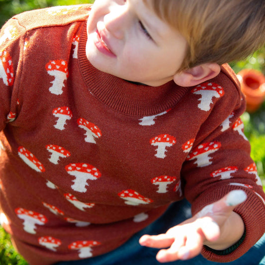 Little Green Radicals Organic Cotton Knitted Sweater - Rust, Mushrooms