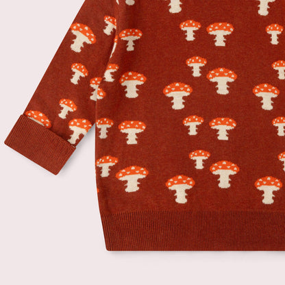 Little Green Radicals Organic Cotton Knitted Sweater - Rust, Mushrooms