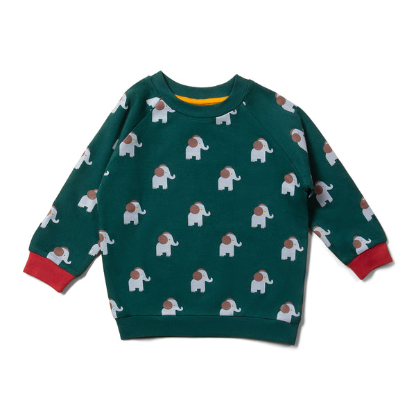 Little Green Radicals organic Raglan sweatshirt- elephants